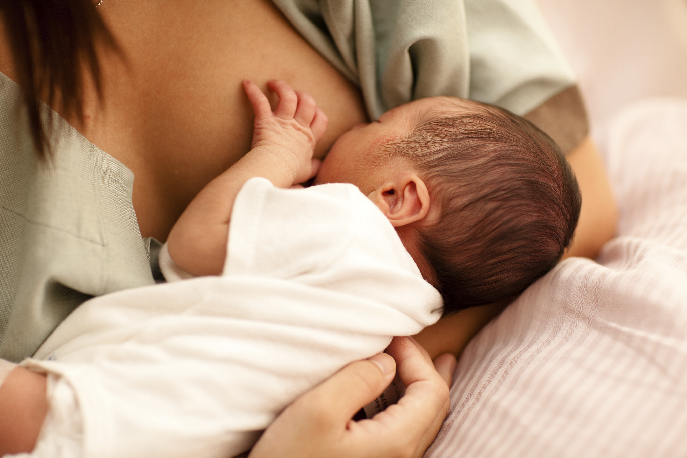 Newborn baby at mother's breast 