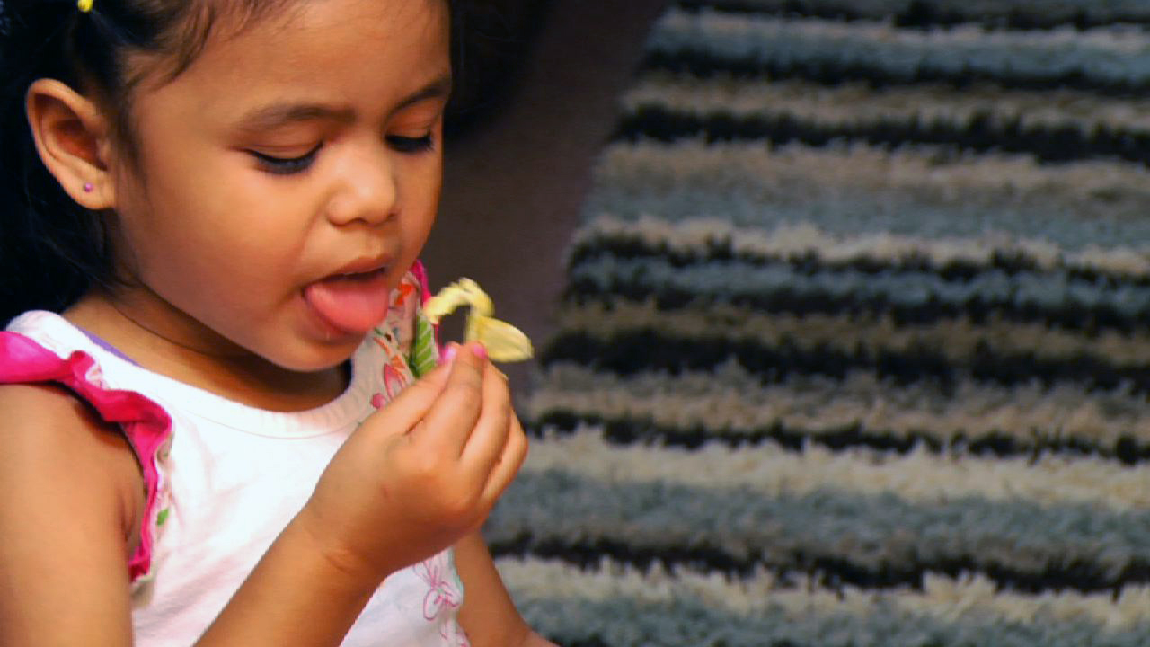 Preschool girl regarding lettuce and looking disgusted 