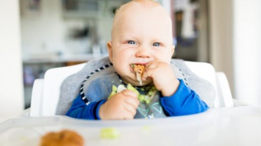 Baby Led Weaning and the Satter Models