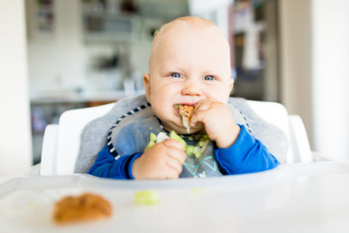 Baby Led Weaning and the Satter Models-0