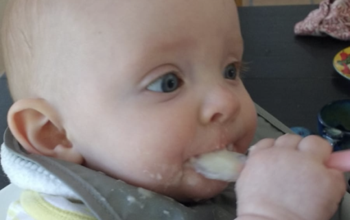 BUNDLE Webinars: Starting Solid Foods - Image 2