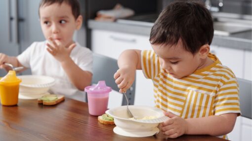 Research Basis for SDOR: Trust Children's Capabilities with Eating