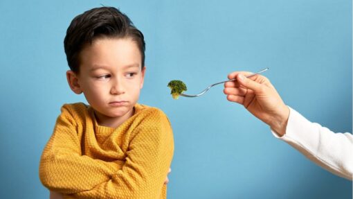 Research Basis for SDOR: Resist Interference with Children's Eating