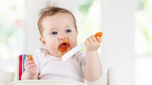 Baby Led Weaning and the Satter Models: A Deeper Dive