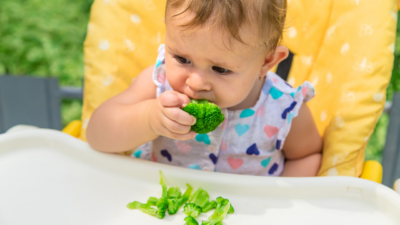 Baby Led Weaning and the Satter Models: A Deeper Dive