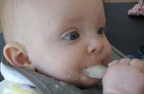 Starting Solid Foods Bundle