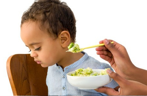 Mealtimes With Your Children With Autism Using the Satter Models
