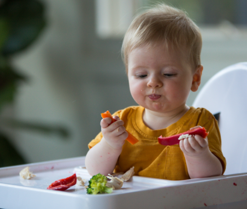 Baby in high chair eating